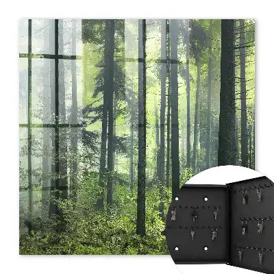 Groen bos van de zon
