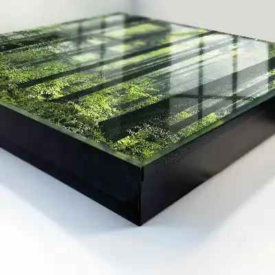 Groen bos van de zon