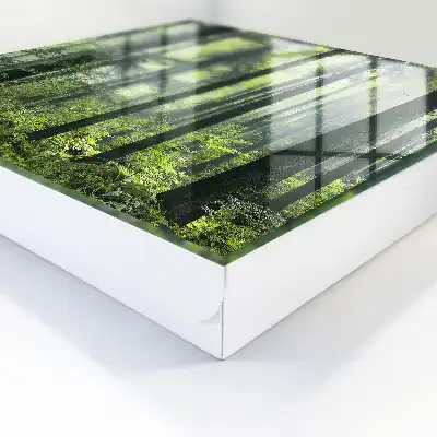 Groen bos van de zon
