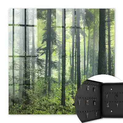 Groen bos van de zon