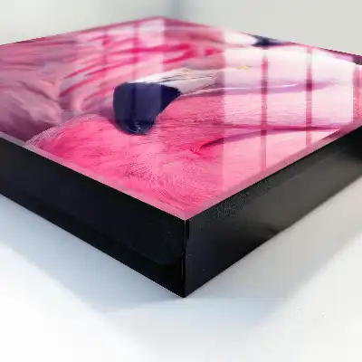 Roze schoonheid in zacht licht