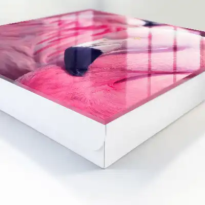 Roze schoonheid in zacht licht