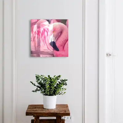 Roze schoonheid in zacht licht