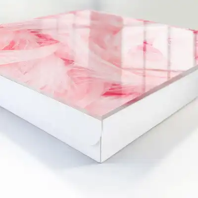 Roze veren