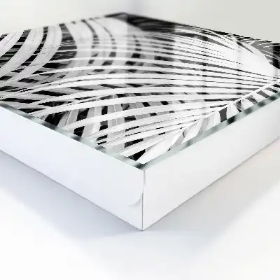 Zwart-witte palmbladeren