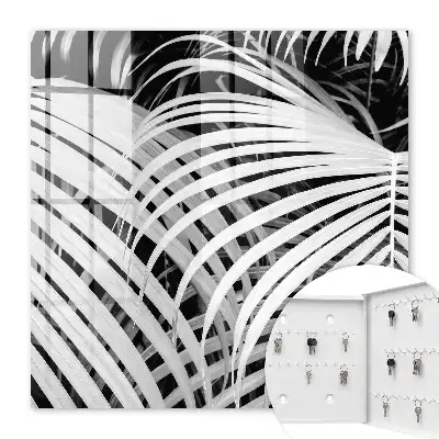 Zwart-witte palmbladeren