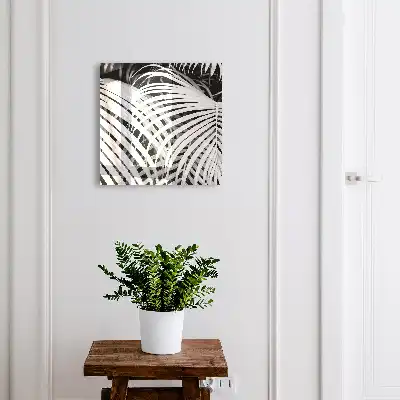 Zwart-witte palmbladeren