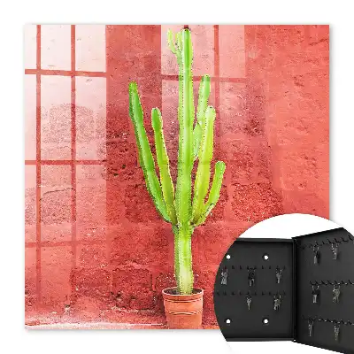 Groene cactus op een rode muur