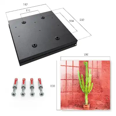 Groene cactus op een rode muur