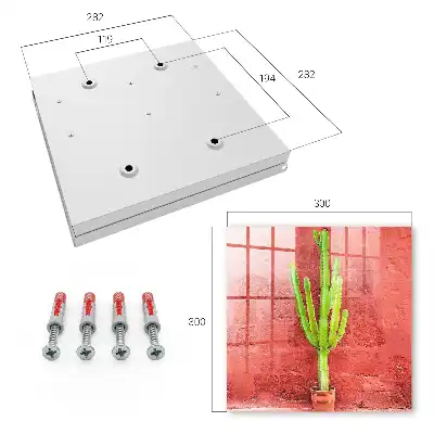 Groene cactus op een rode muur