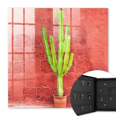 Groene cactus op een rode muur