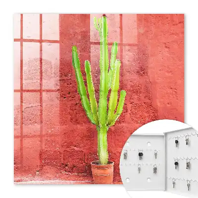 Groene cactus op een rode muur