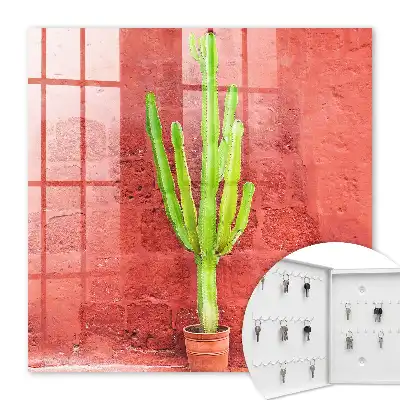 Groene cactus op een rode muur