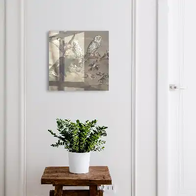 Vogels op een pittoreske rots
