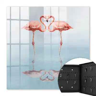 Flamingo's houden van de nabijheid van het water