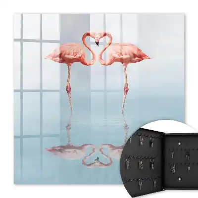 Flamingo's houden van de nabijheid van het water