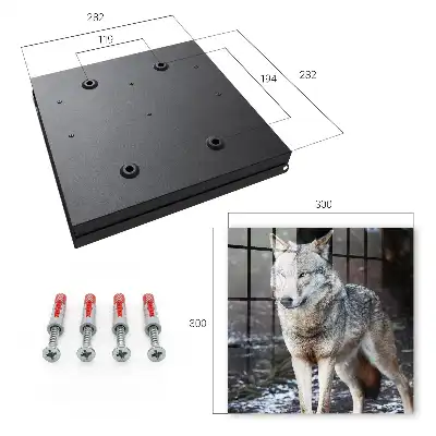Een wolf in een bos vol contrasten
