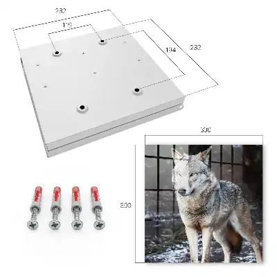 Een wolf in een bos vol contrasten