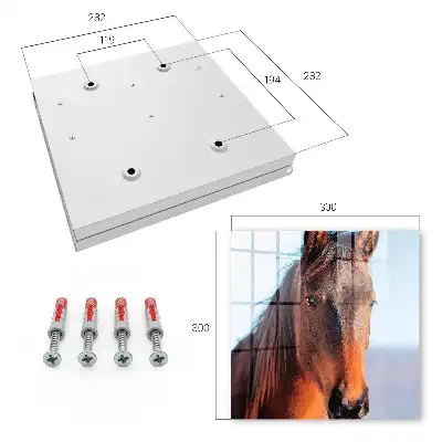 Portret van een paard in natuurlijk licht