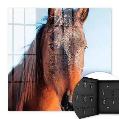 Portret van een paard in natuurlijk licht