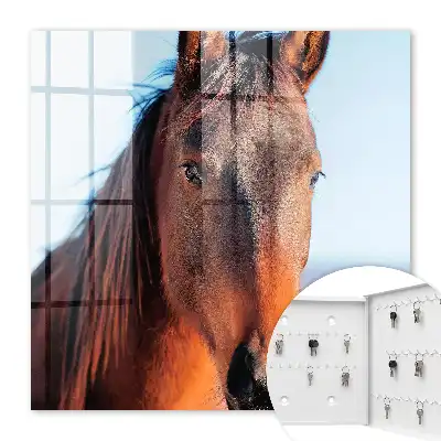 Portret van een paard in natuurlijk licht