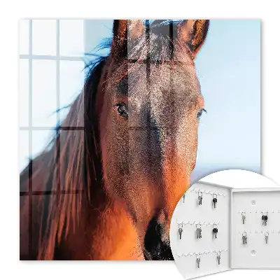 Portret van een paard in natuurlijk licht