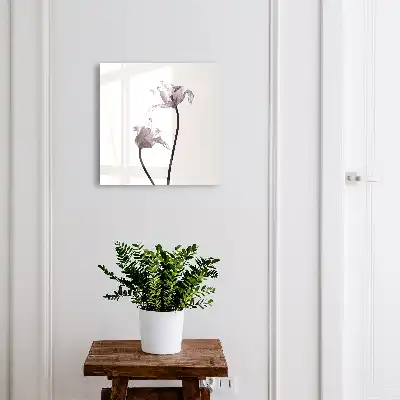 Minimalistische bloemen op een lichte achtergrond