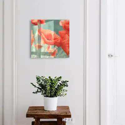 Rode klaprozen met een groene achtergrond