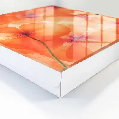 Bloemige extase vol energie