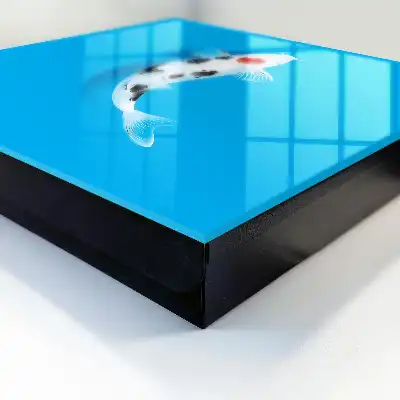 Koivissen met een blauwe achtergrond