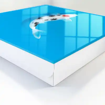 Koivissen met een blauwe achtergrond
