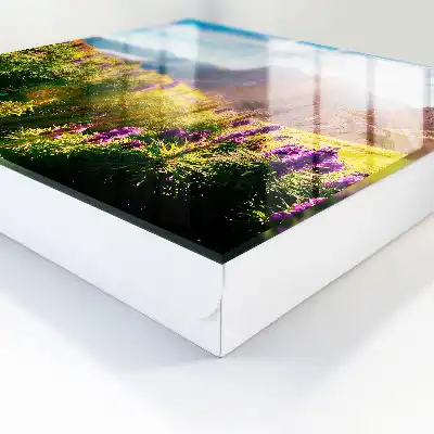 Een idyllisch berglandschap met bloemen en zon