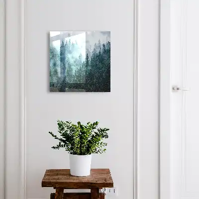 Groen bos in de ochtendmist
