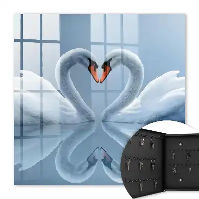 Zwanen liefdeshart