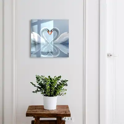 Zwanen liefdeshart