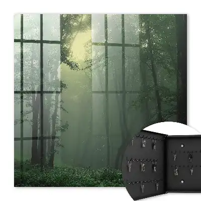 Bosmist in de ochtendmist