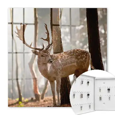 Herten in het bos bij zonsondergang