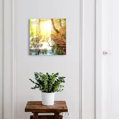 Een boshoekje in het groene bos