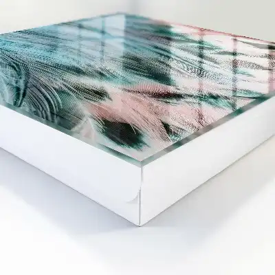 Pastelblauwe met roze veren