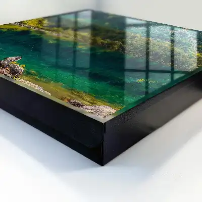 Idyllisch berglandschap in groen water