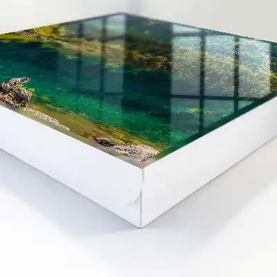 Idyllisch berglandschap in groen water