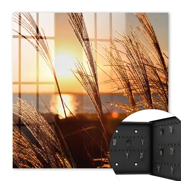 Zonsondergang boven de zee met gras