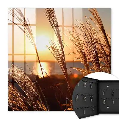 Zonsondergang boven de zee met gras