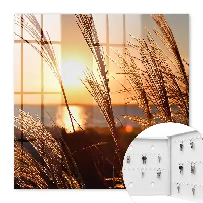 Zonsondergang boven de zee met gras