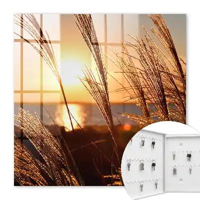 Zonsondergang boven de zee met gras