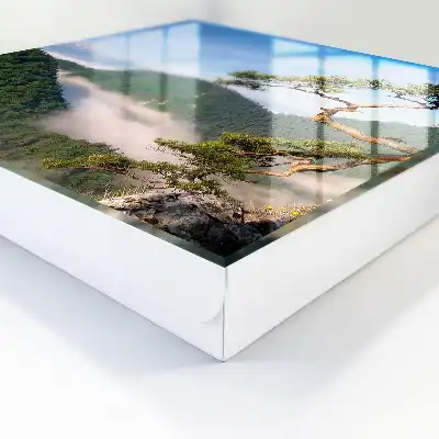 Berglandschap met besneeuwde bergen
