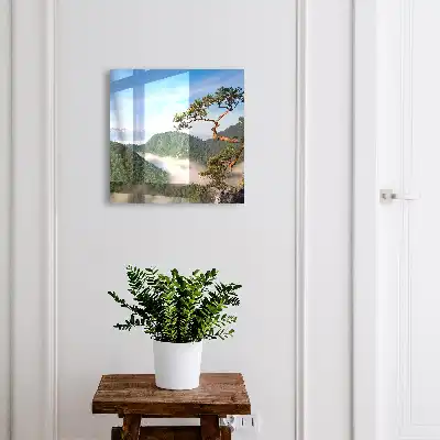 Berglandschap met besneeuwde bergen