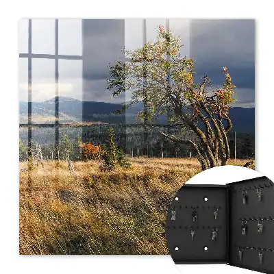 Herfstlandschap met bomen en lucht
