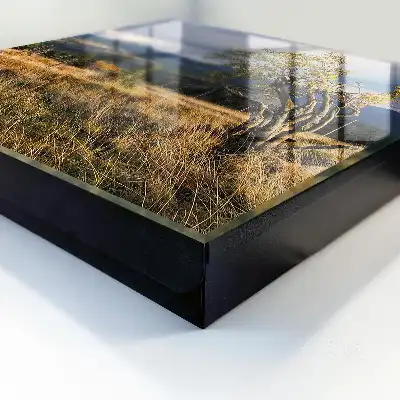Herfstlandschap met bomen en lucht