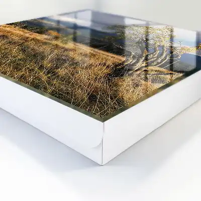 Herfstlandschap met bomen en lucht